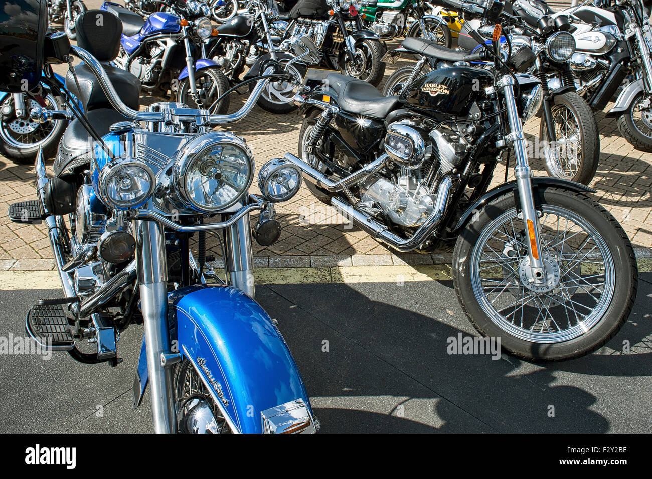 Una collezione di Harley Davidson Moto parcheggiata fino. Foto Stock