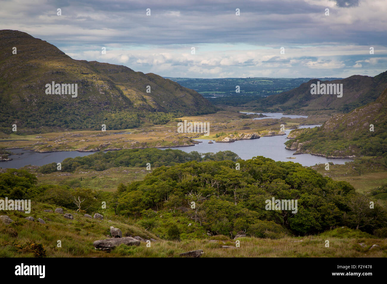 Ladies View lungo il Ring of Kerry vicino a Killarney, nella contea di Kerry, Repubblica di Irlanda Foto Stock