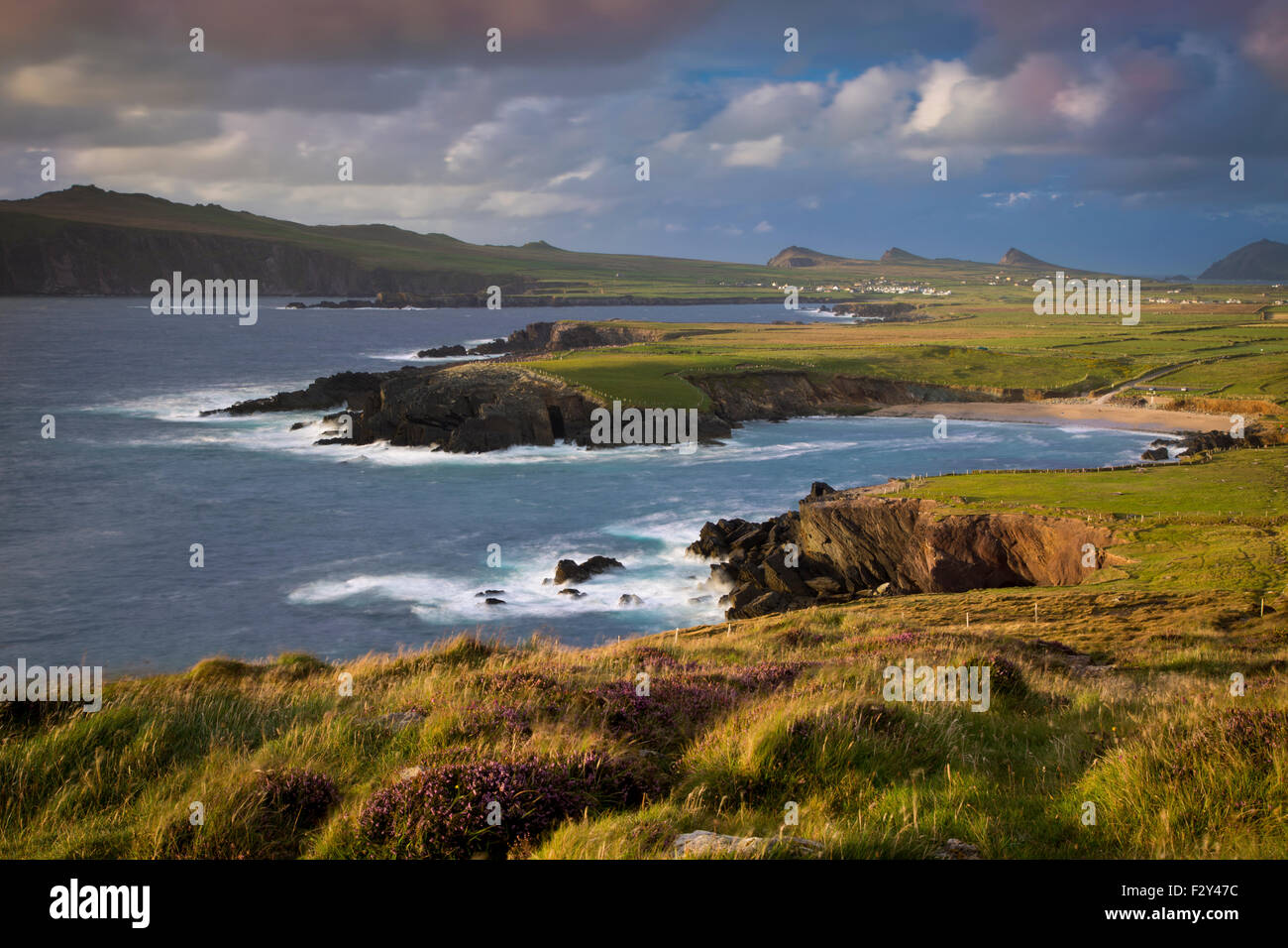 Sera La luce solare sulla baia di Ballyferriter, Sybil punto e i picchi delle Tre Sorelle, penisola di Dingle, nella contea di Kerry, Irlanda Foto Stock