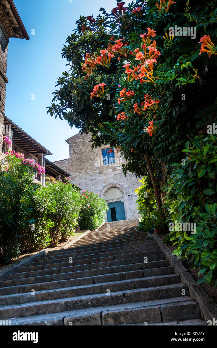 Una dolce scalinata conduce alla chiesa di San Francesco attraverso una boccola di bignonia arancione Foto Stock