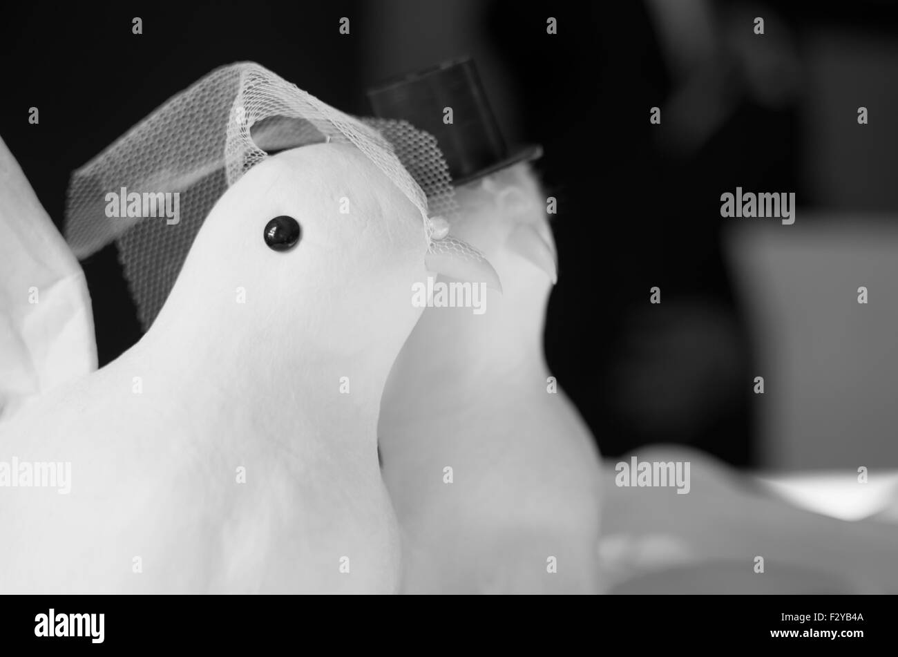 Colomba di coppia di nozze decorazione figurine Closeup in bianco e nero Foto Stock