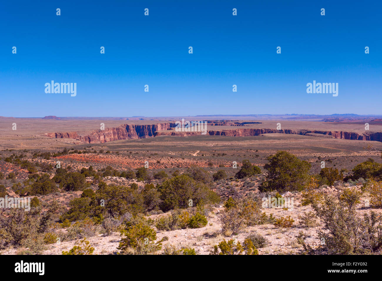 Vista del paesaggio nei pressi di Colorado River Canyon, STATI UNITI D'AMERICA Foto Stock