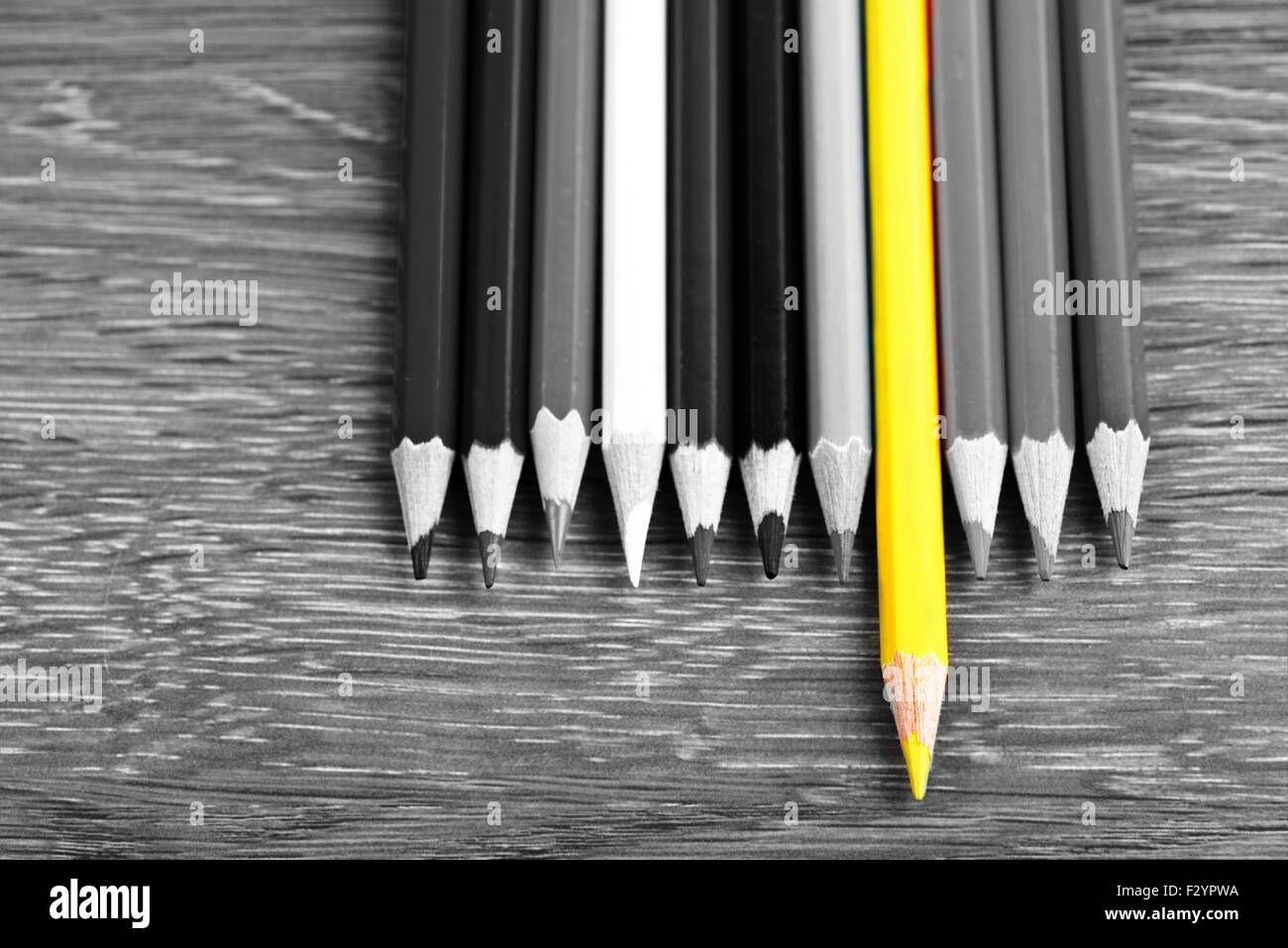 Singola matita colorata concetto di leadership Foto Stock