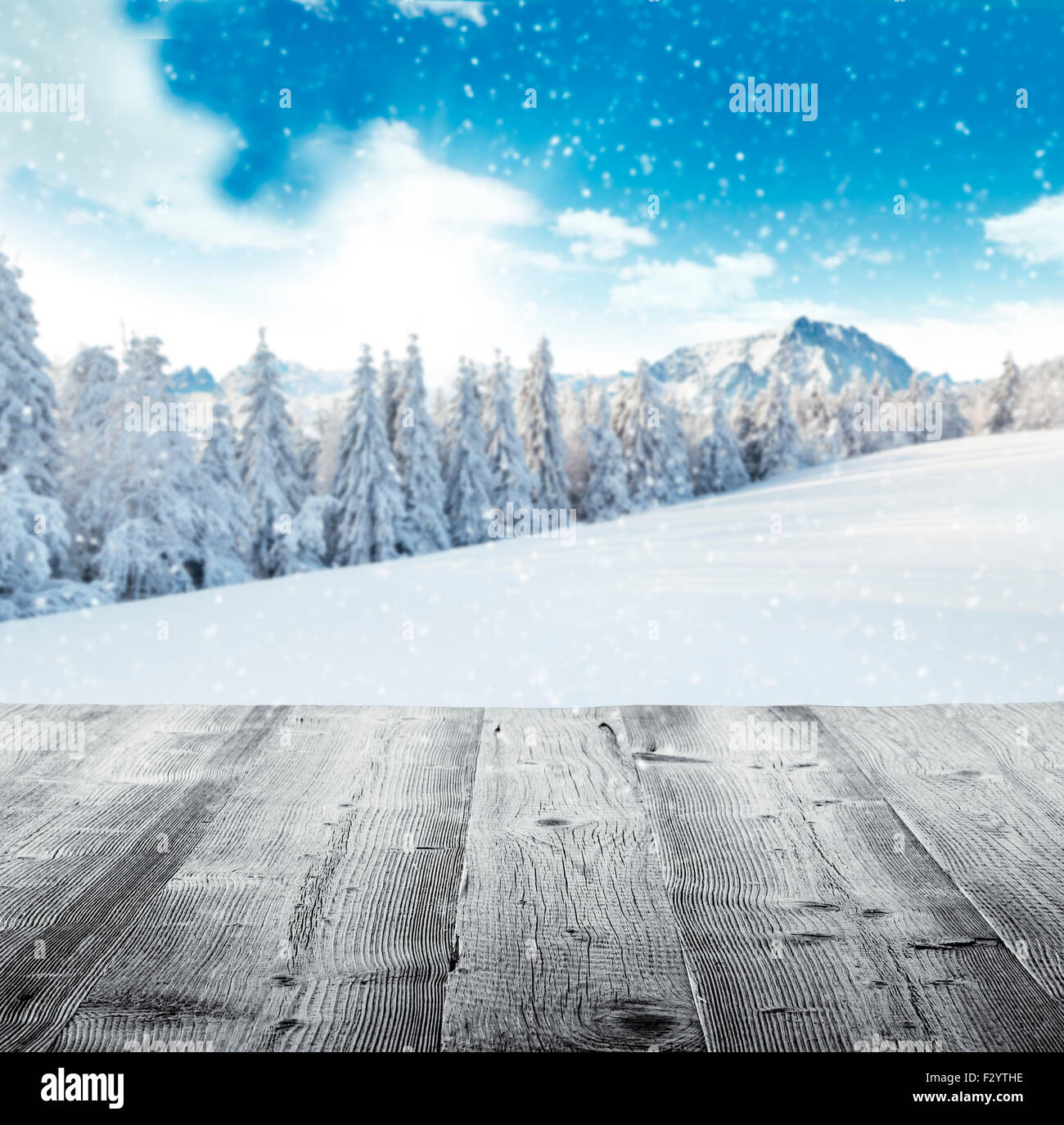 Paesaggio invernale con doghe in legno Foto Stock