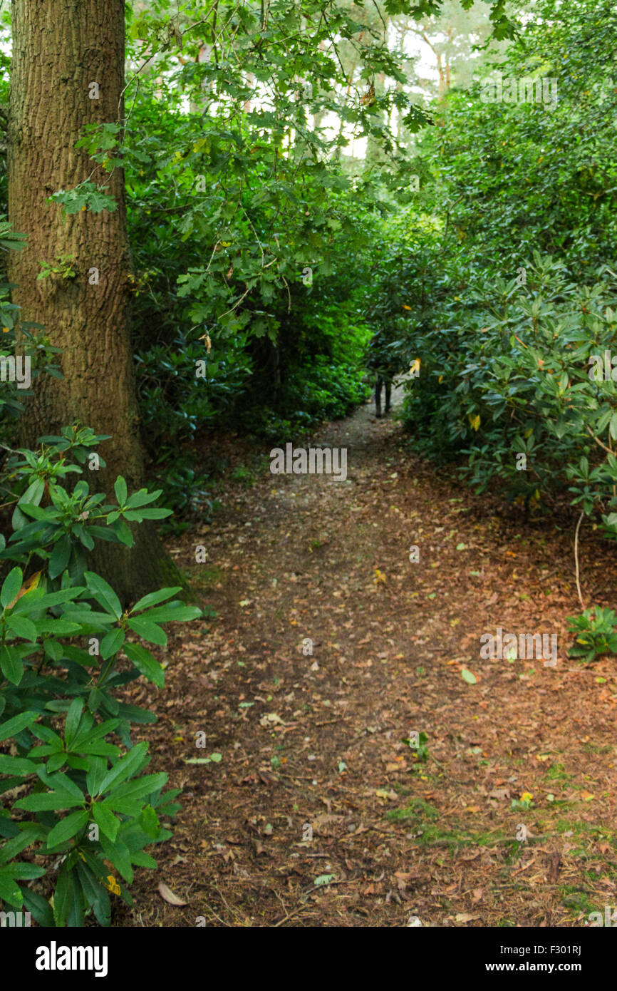 Passeggiando tra la natura a Coombe Giardini a Croydon, SURREY REGNO UNITO Foto Stock