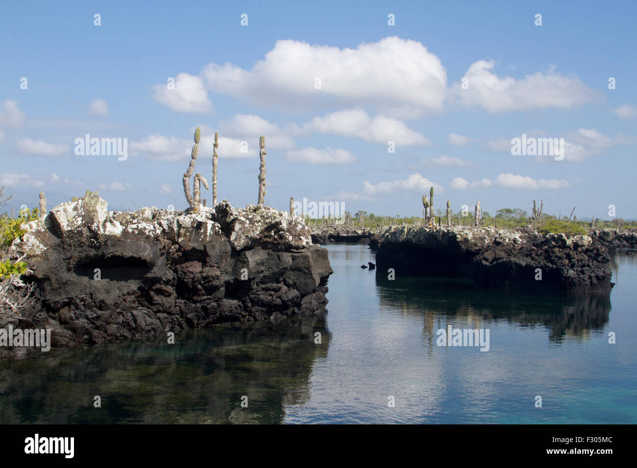 Los Tunneles (formazioni di lava tra le mangrovie e il mare aperto), Isabela Island, Isole Galapagos Foto Stock