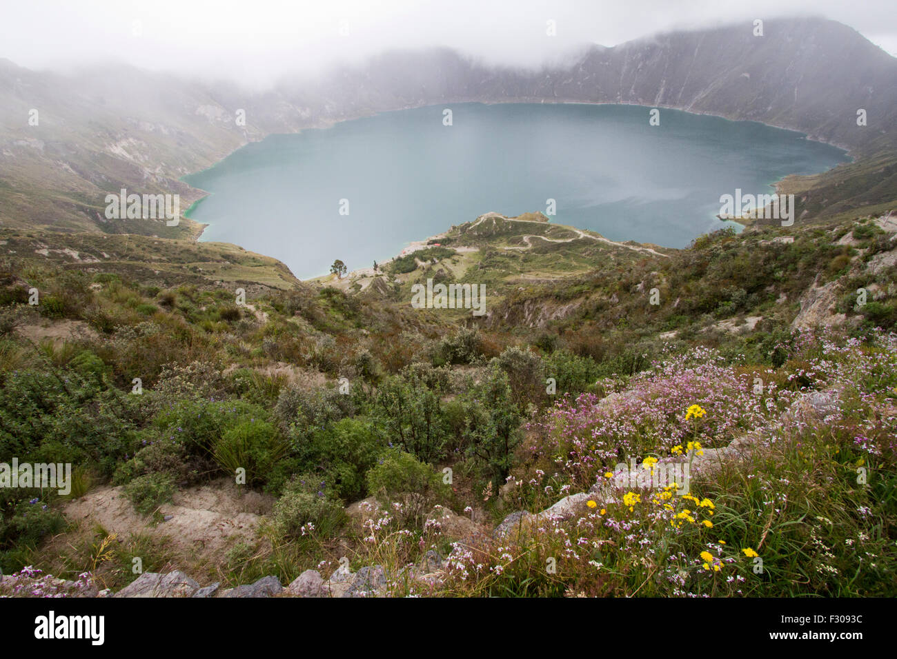 Laguna Quilotoa, vulcanico-Crater Lake, Ecuador Foto Stock