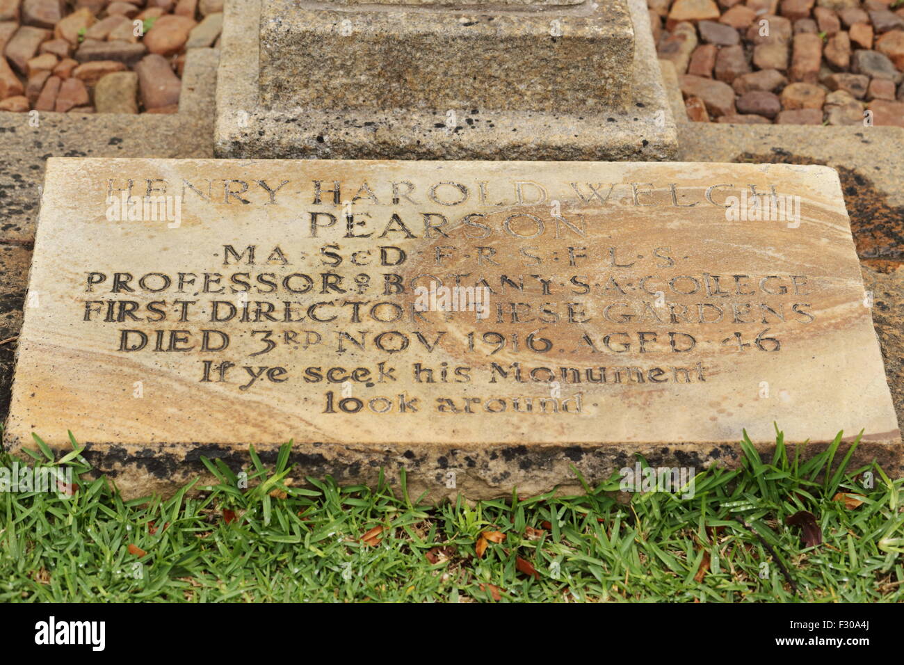 Lapide della tomba di Henry Pearson, un sudafricano botanico di Kirstenbosch National Botanical Gardens, Città del Capo Foto Stock