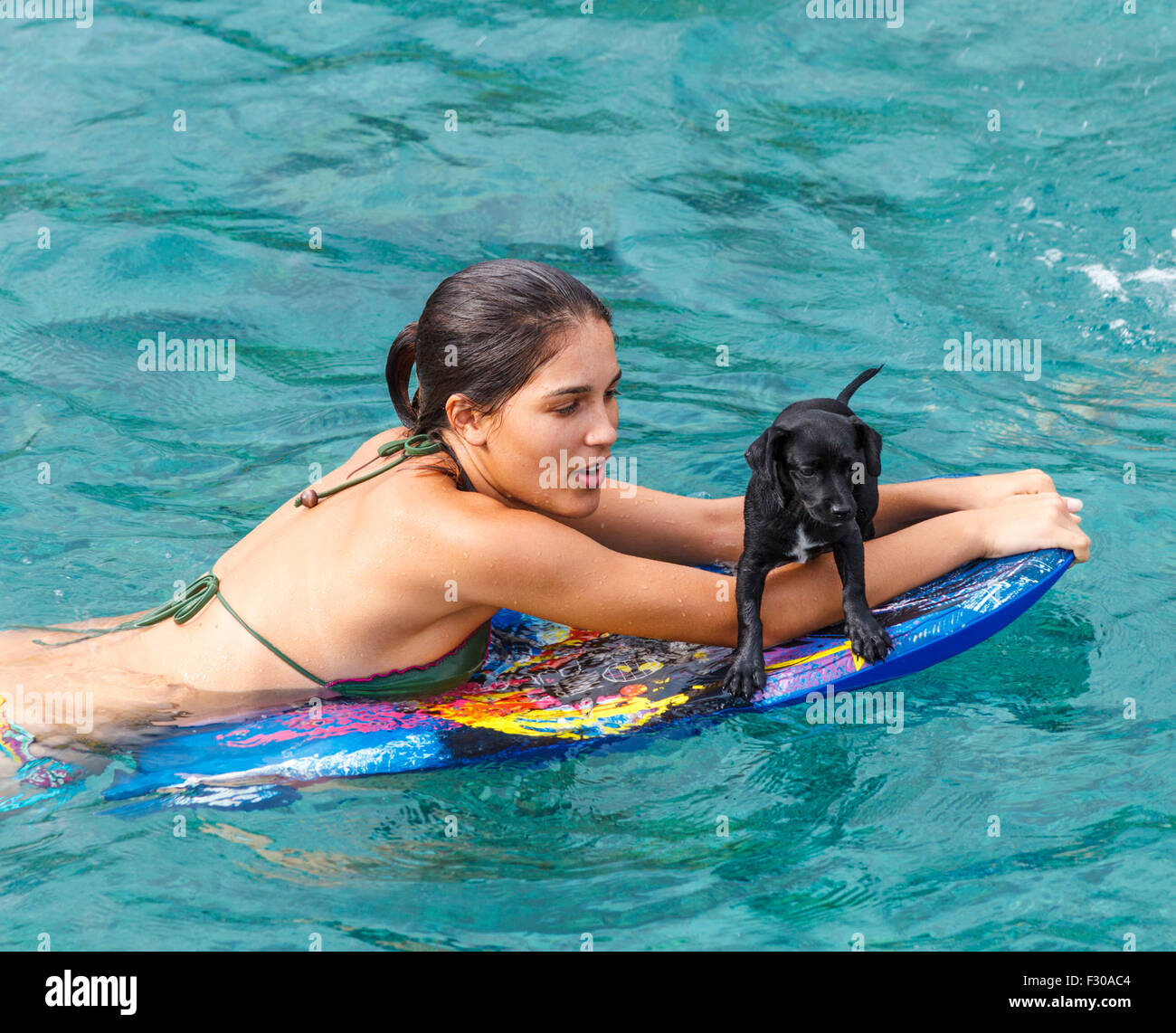 Giovane donna con cucciolo in Kailua-Kona sulla Big Island Foto Stock