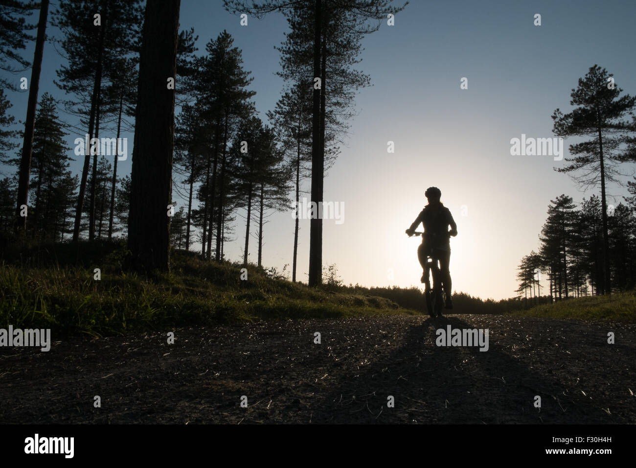 Escursioni in bicicletta a Pembrey Sands Country Park,Carmarthenshire, al tramonto, il Galles. Regno Unito meteo. Foto Stock