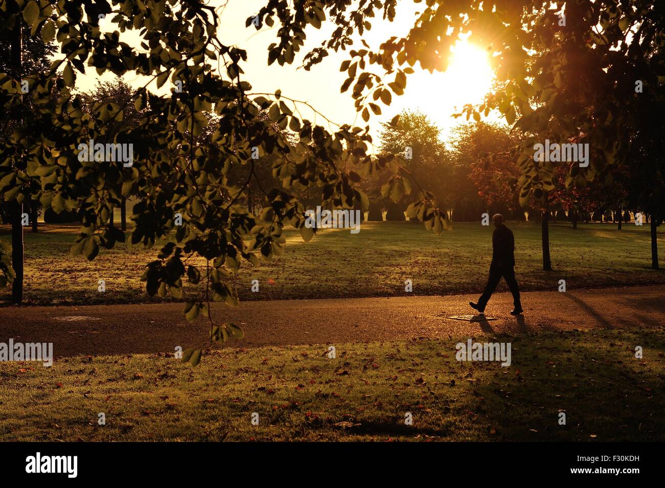 Un uomo cammina attraverso Glasgow Green illuminati dalla mattina presto sole autunnale Foto Stock