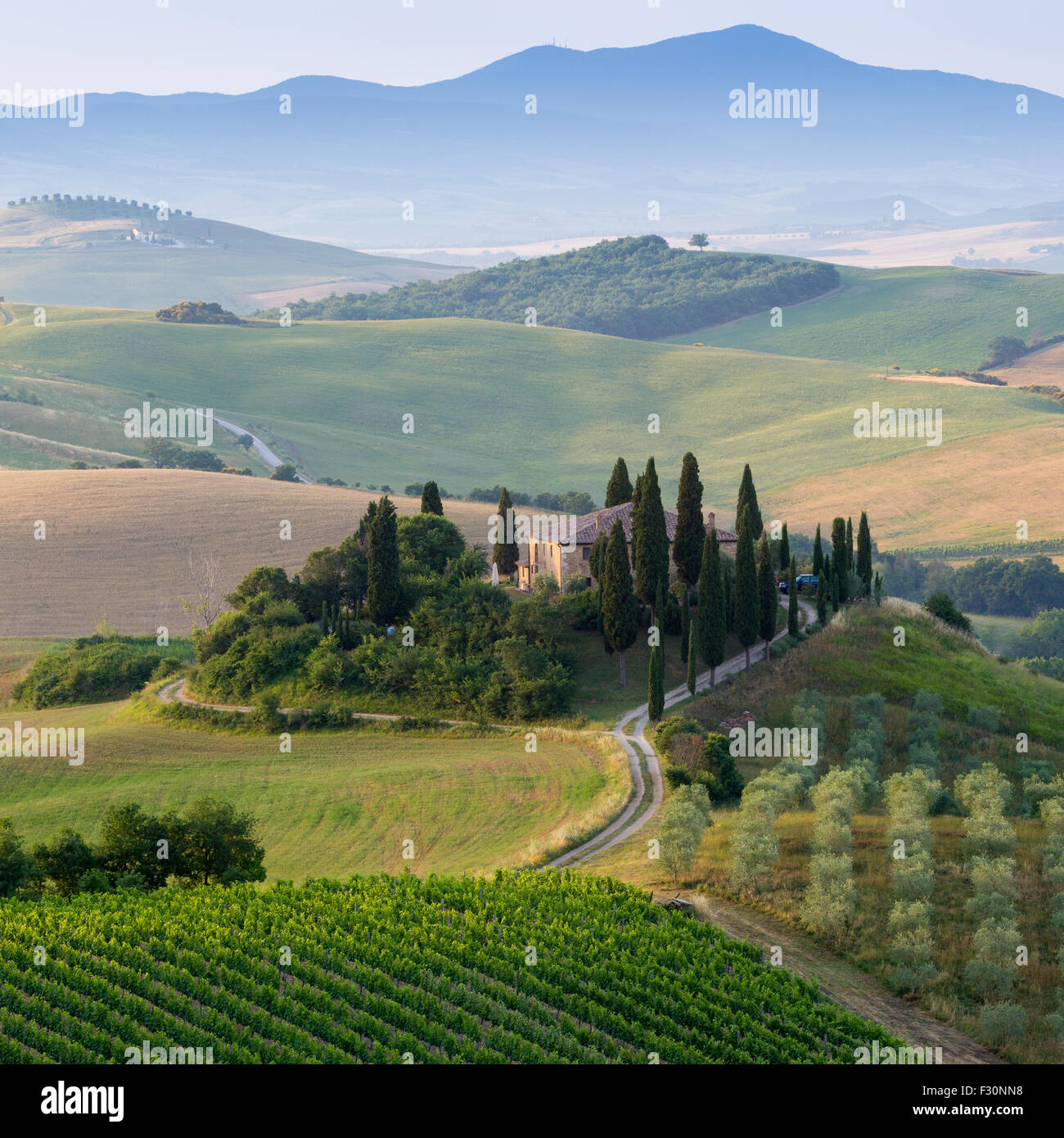 Toscana, la mattina presto in Val d'Orcia Foto Stock