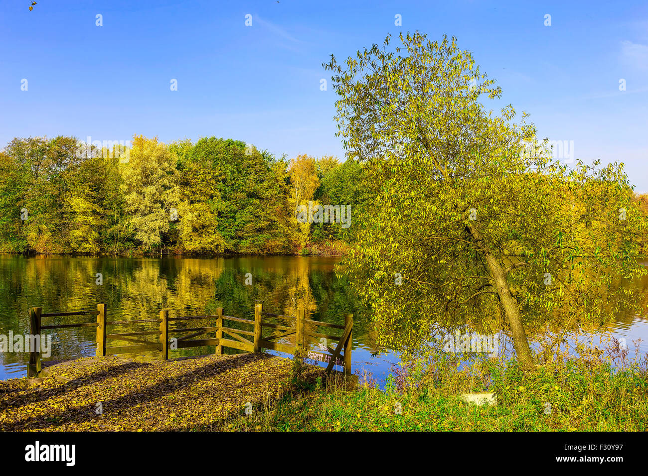 Il molo in legno con recinto e Falen lascia al lago contro autunno alberi colorati in giornata di sole Foto Stock