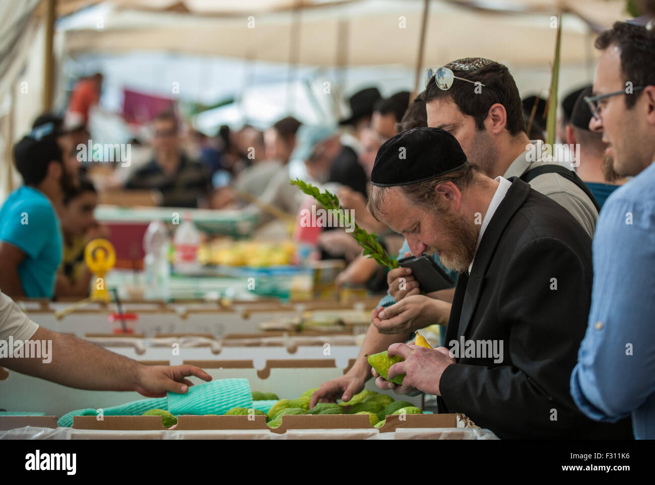 (150927) -- Gerusalemme, Sett. 27, 2015 (Xinhua) -- uomini ebrei selezionare quattro specie vegetali per essere utilizzati come simboli durante la celebrazione di 'Sukkot' vacanza, in un mercato di Gerusalemme, sul Sett. 27, 2015. Il 'Sukkot', Festa dei Tabernacoli, cadendo dal tramonto di settembre 27 al tramonto del 4 ottobre di quest'anno, è un giro biblico vacanza che recolletti i quaranta anni di marcia nel deserto dopo l'esodo dalla schiavitù in Egitto. (Xinhua/Li Rui) (lrz) Foto Stock