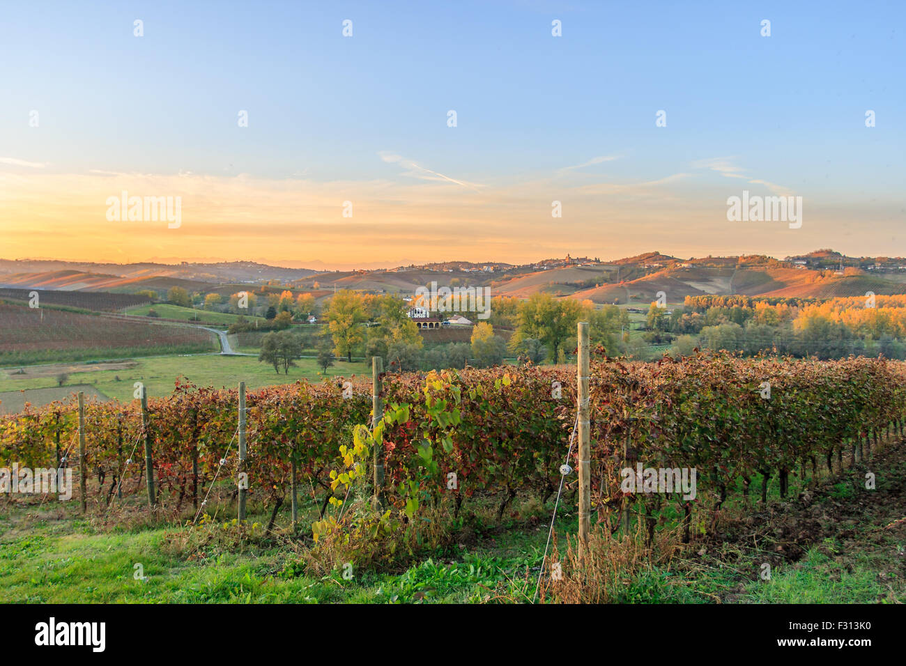 Paesaggio di vigneti in Piemonte Foto Stock Paesaggio di vigneti in Piemonte Foto Stock
