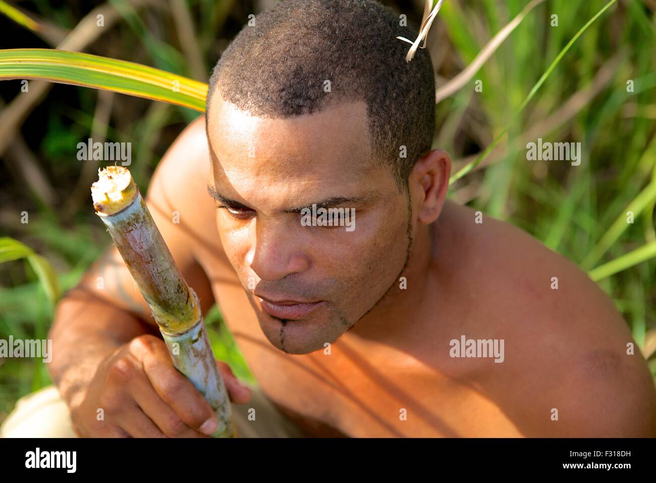 Mulatto seduto in un campo di canna da zucchero a Cuba pensando al futuro del suo paese miscela etnica multi etnico multi-razziale Foto Stock