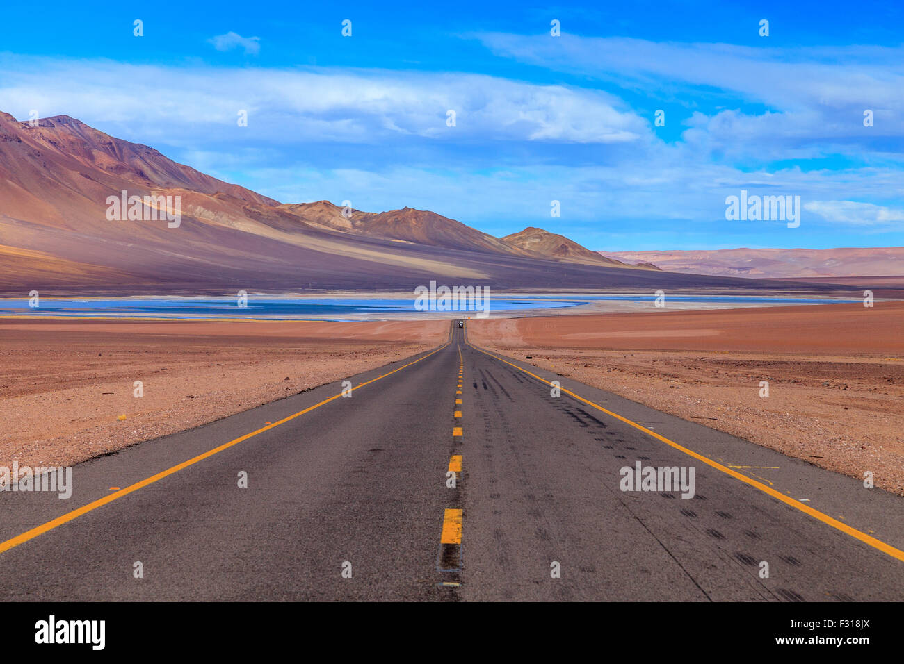 La strada solitaria che conduce al Salar de tara (riserva nazionale di Los Flamencos, Atacama, Cile) Foto Stock