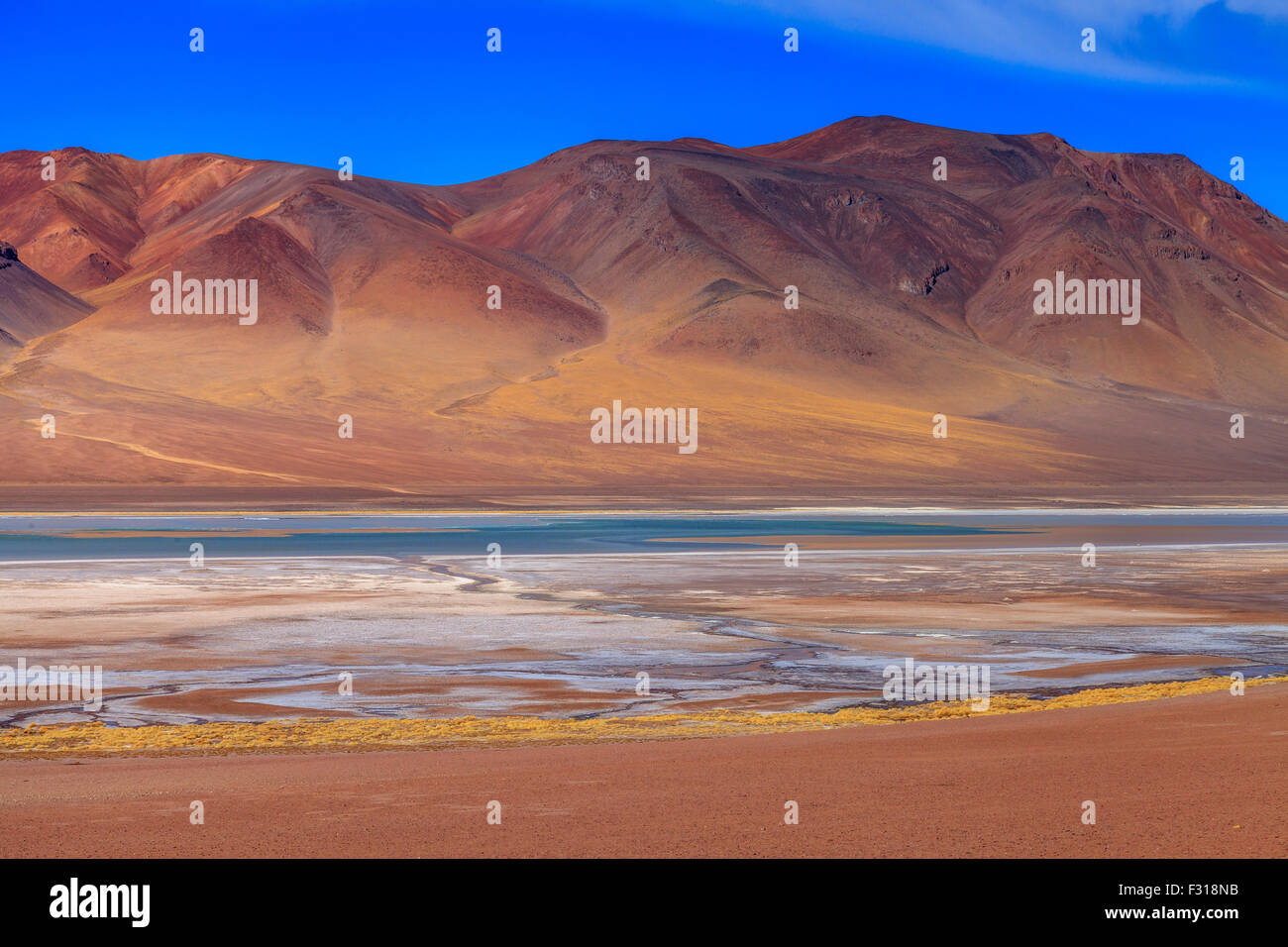 Salar de Tara con colline colorate sullo sfondo (riserva nazionale di Los Flamencos, Atacama, Cile) Foto Stock