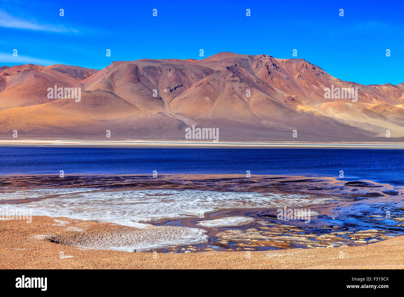 Salar de Tara con colline colorate sullo sfondo (riserva nazionale di Los Flamencos, Atacama, Cile) Foto Stock