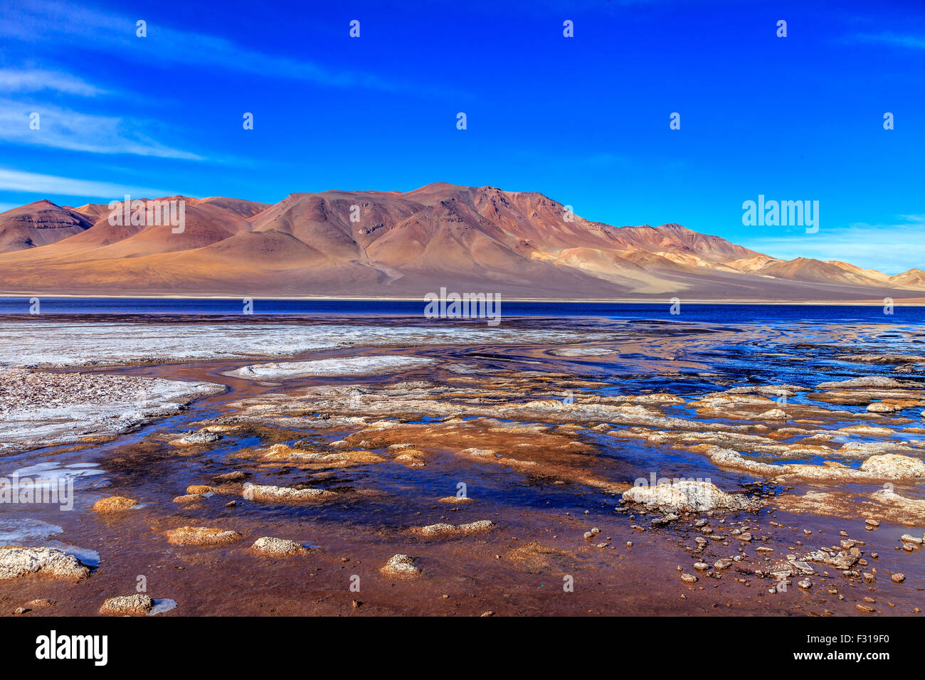 Salar de Tara con colline colorate sullo sfondo (riserva nazionale di Los Flamencos, Atacama, Cile) Foto Stock