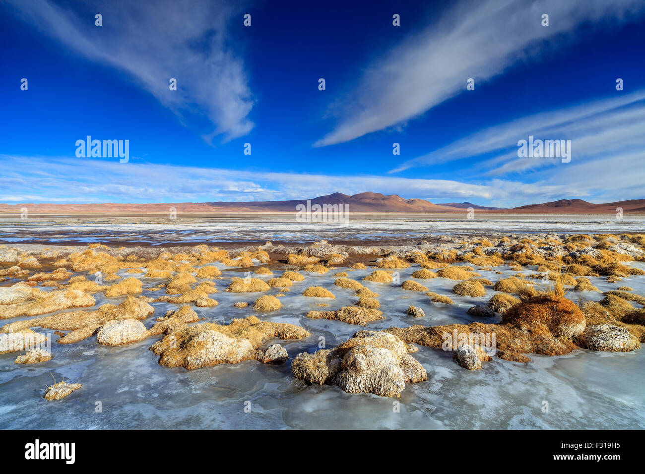 Lago ghiacciato a Salar de Tara (riserva nazionale di Los Flamencos, Atacama, Cile) Foto Stock