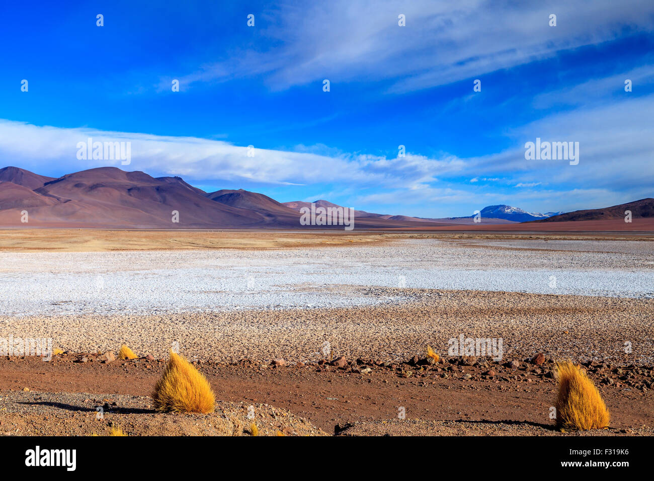 Salar de Tara con curioso erba formazioni (Los Flamencos National Reserve, Atacama, Cile) Foto Stock