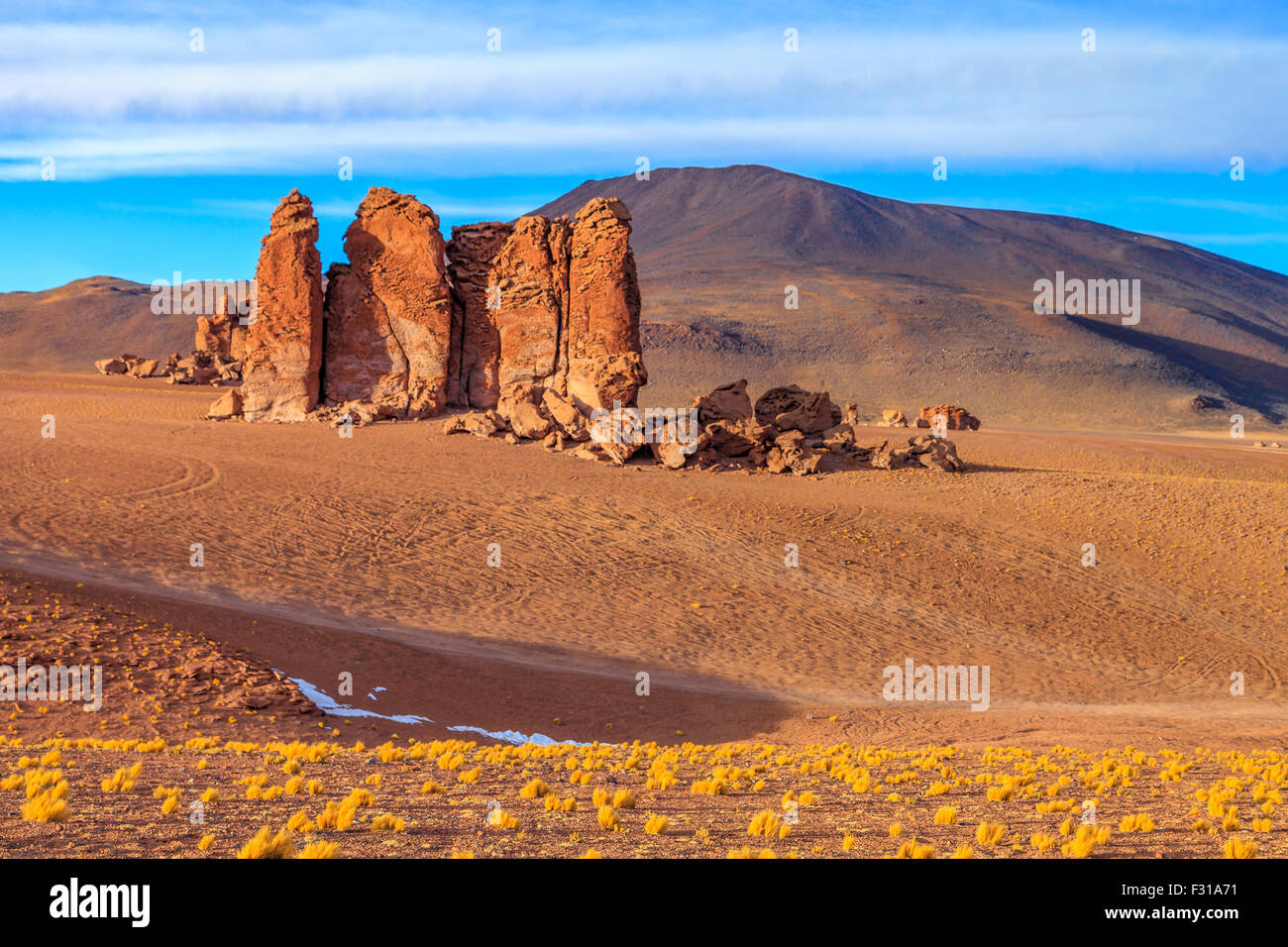 Rocce monolitico in formazione il Salar de Tara Foto Stock