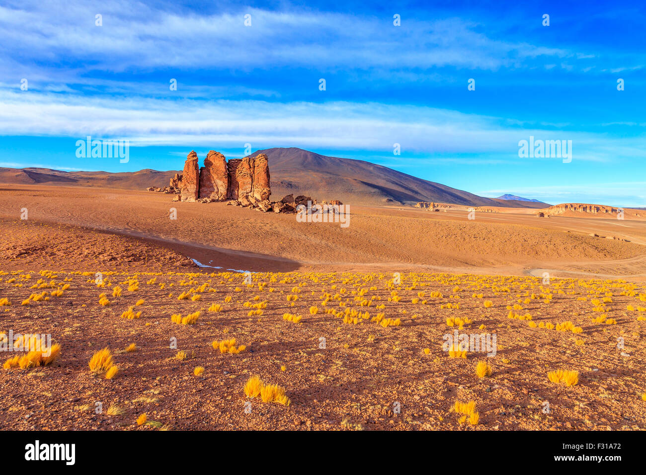 Vista panoramica di Salar de Tara (Atacama, Cile) Foto Stock