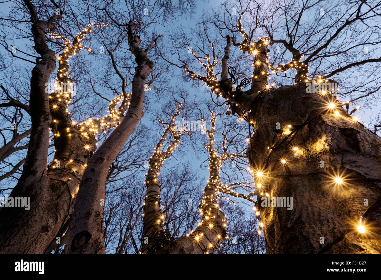 Bellissime decorazioni di Natale in una struttura ad albero Foto Stock