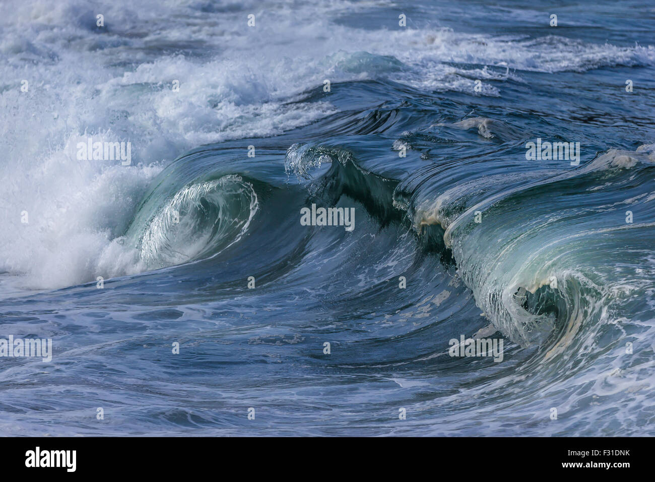 Grande oceano onda, Waimea Bay North Shore Oahu Hawaii USA Foto Stock