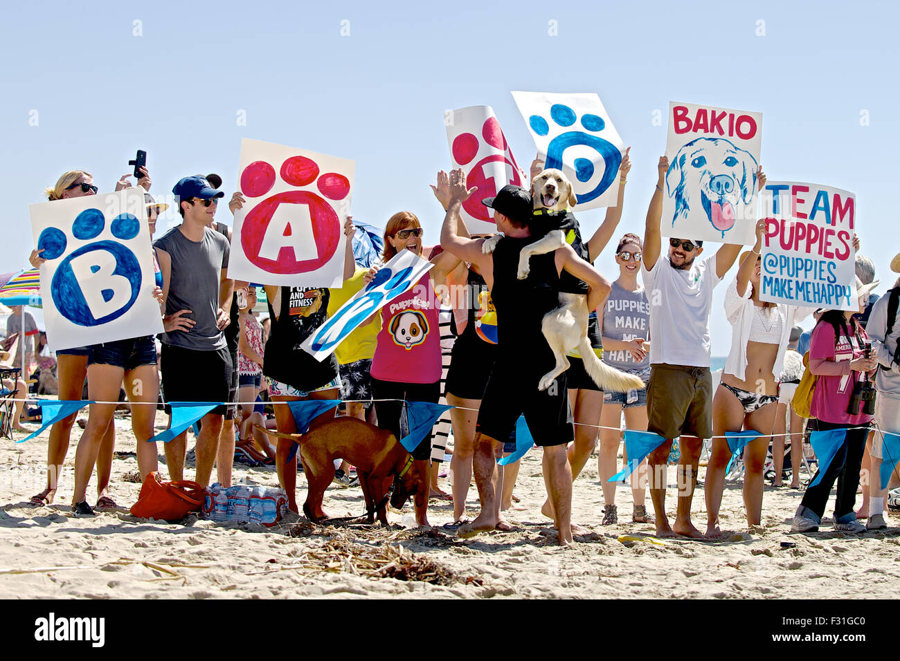 Huntington Beach, California, Stati Uniti d'America. Il 27 settembre, 2015. Backio surf cane era un grande numero di fan out presso la città di Surf Surf Dog® contest at Dog Beach. I cani provenienti da tutto il mondo hit le onde da surf durante il Surf City Surf Dog ® surf concorso organizzato a Dog Beach in Huntington Beach, CA domenica 27 settembre, 2015. Credito: Benjamin Ginsberg/Alamy Live News Foto Stock