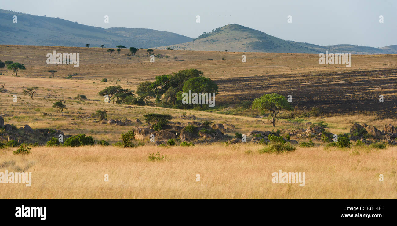 Vasto paesaggio nel Masai Mara presso il fiume di sabbia con una vista della savana settentrionale del Serengeti, Cuneo Llamai Foto Stock