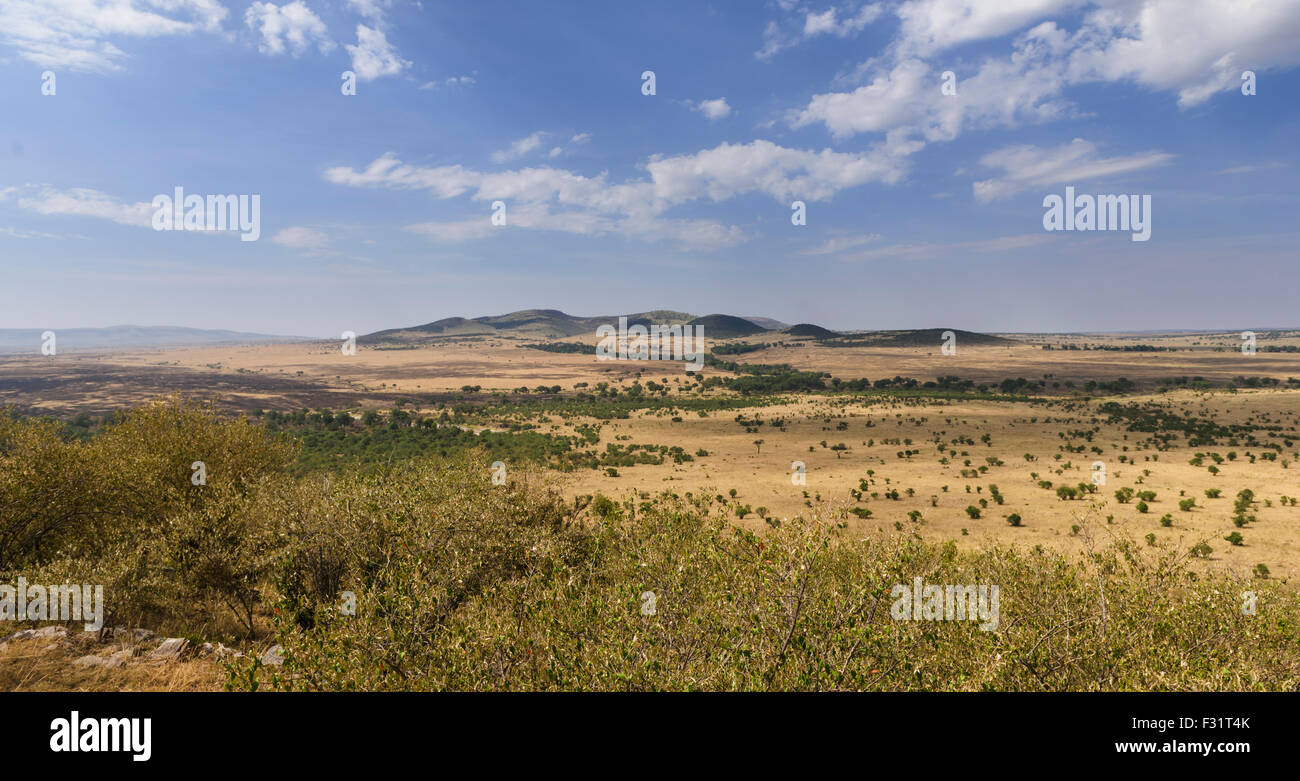 Tratto orizzontale nella Masai Mara presso il fiume di sabbia con una vista della savana settentrionale del Serengeti, Cuneo Llamai Foto Stock