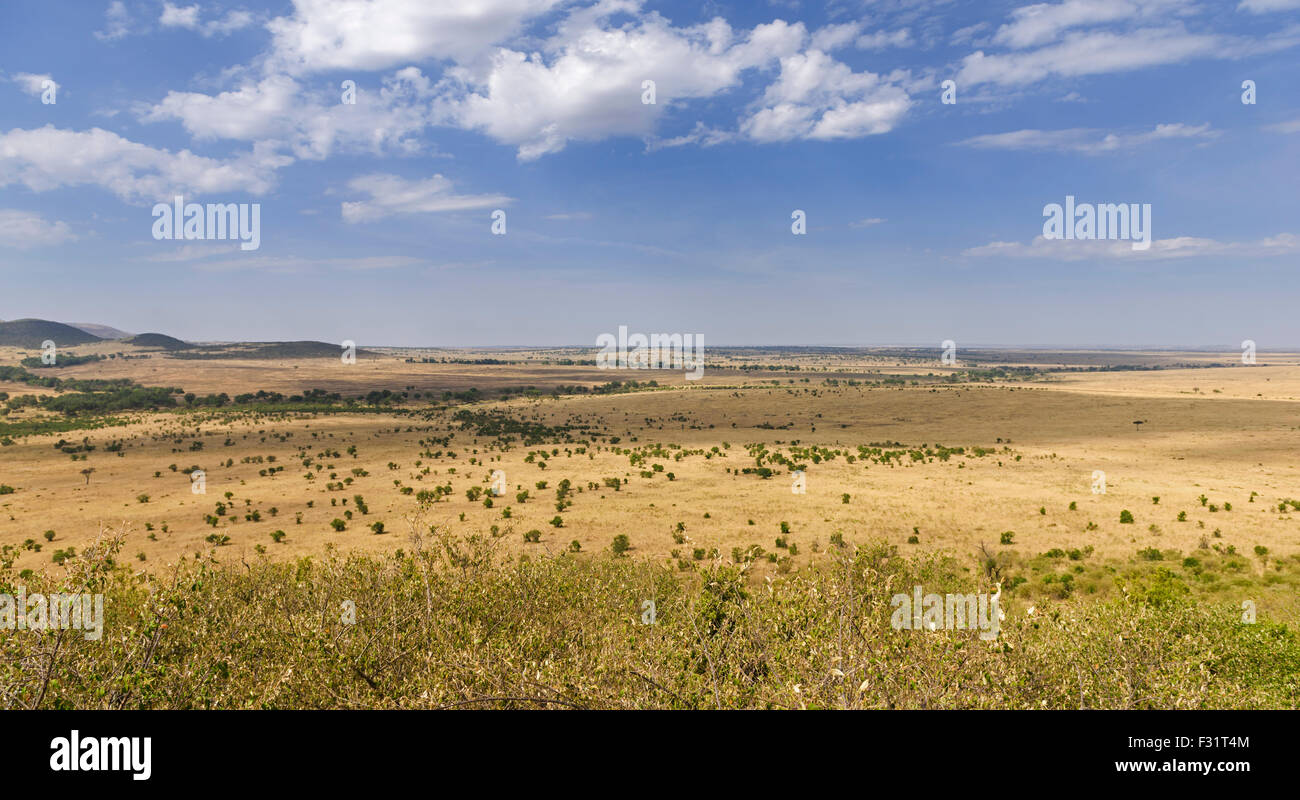 Tratto orizzontale nella Masai Mara presso il fiume di sabbia con una vista della savana settentrionale del Serengeti, Cuneo Llamai Foto Stock