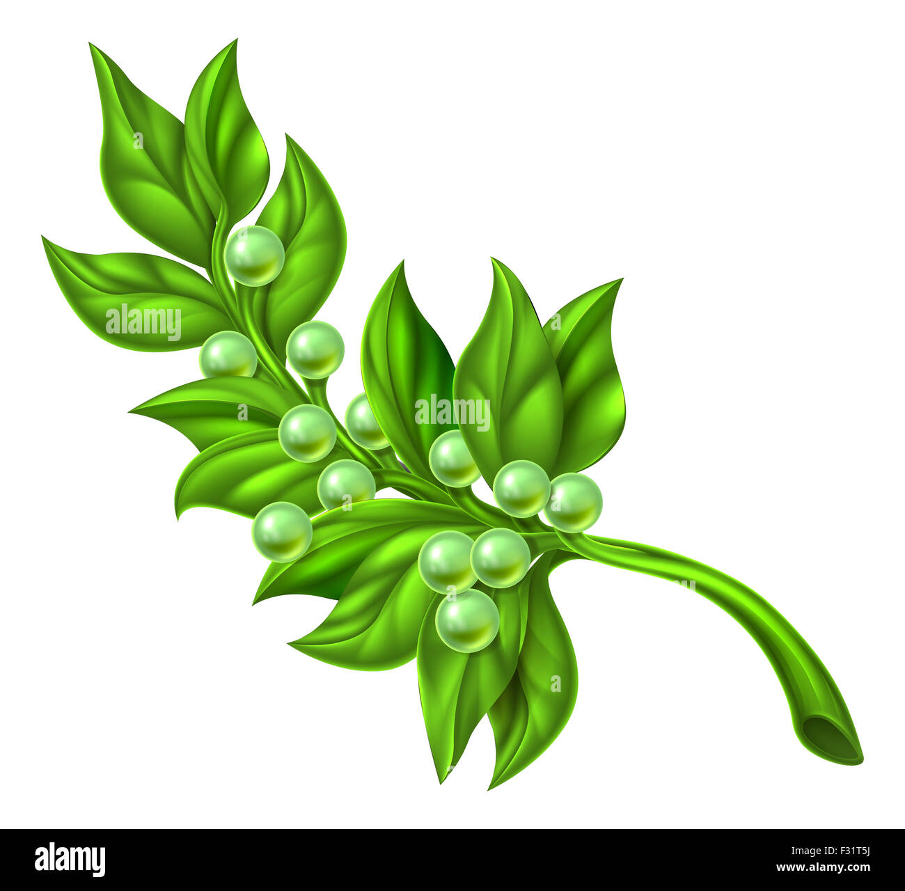 Una illustrazione di un ramo di olivo, simbolo di pace. Foto Stock