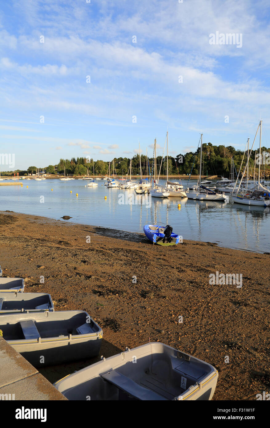 Plage de Conleau con barche Presqu'ile de conleau, Vannes, Morbihan, in Bretagna, in Francia, in Europa Foto Stock