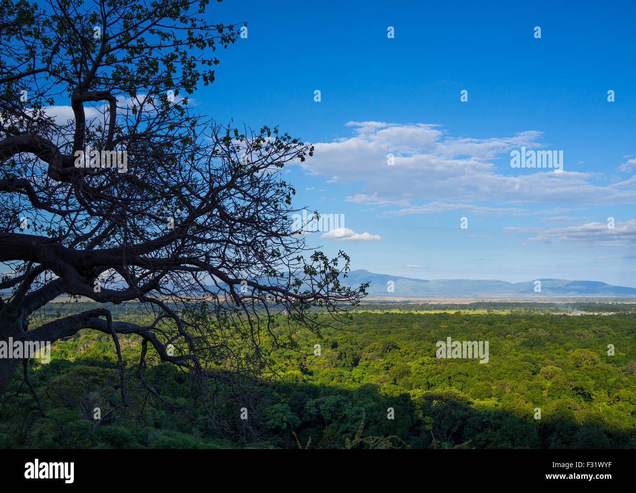 Tanzania, Parco di Manyara Arusha, il paesaggio con le nuvole Foto Stock