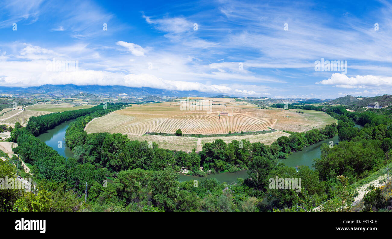 Vneyards e la campagna che si affaccia sul Rio Ebro in La Rioja, Spagna Foto Stock