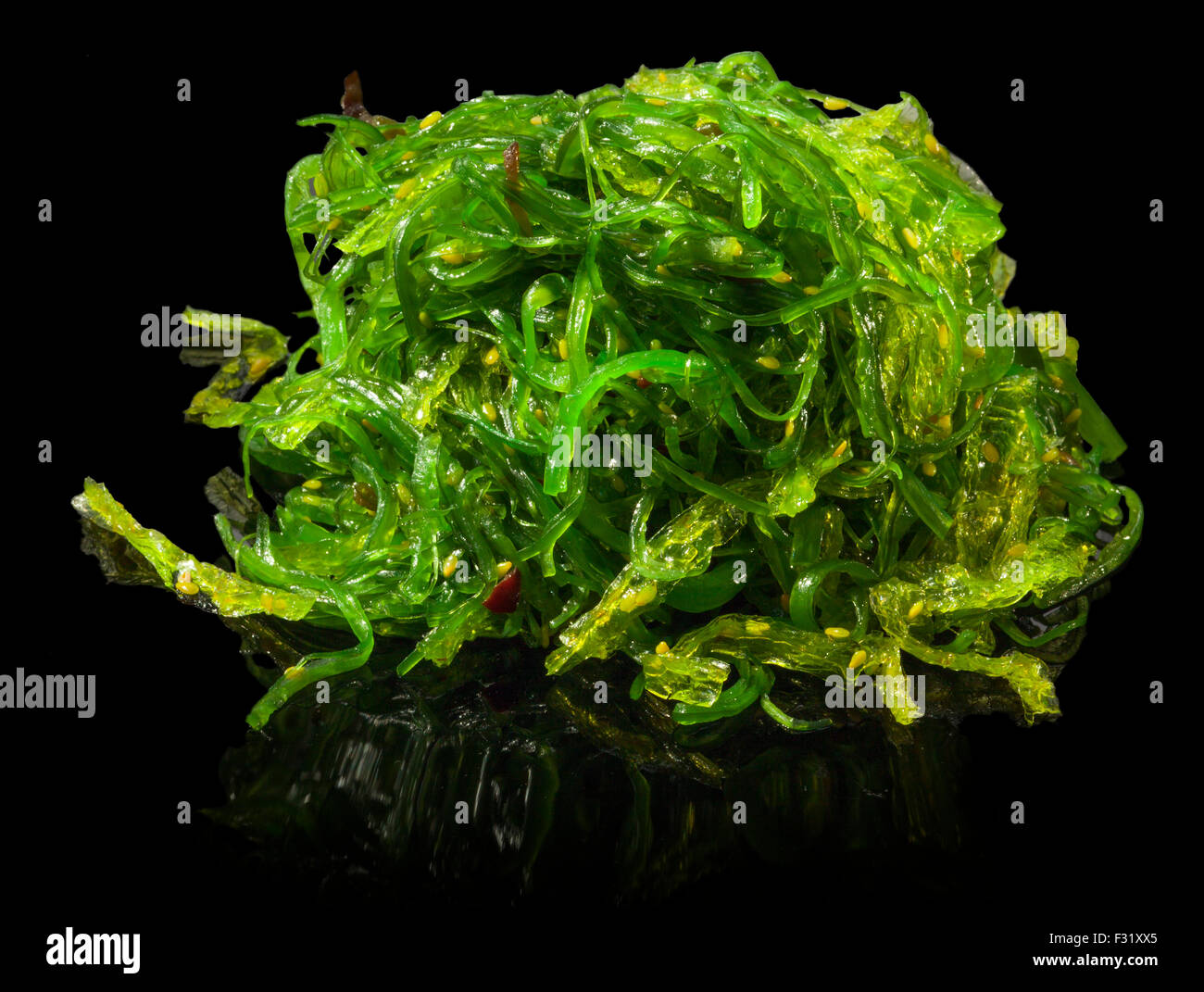 Una porzione di fresco alghe wakame su sfondo nero Foto Stock