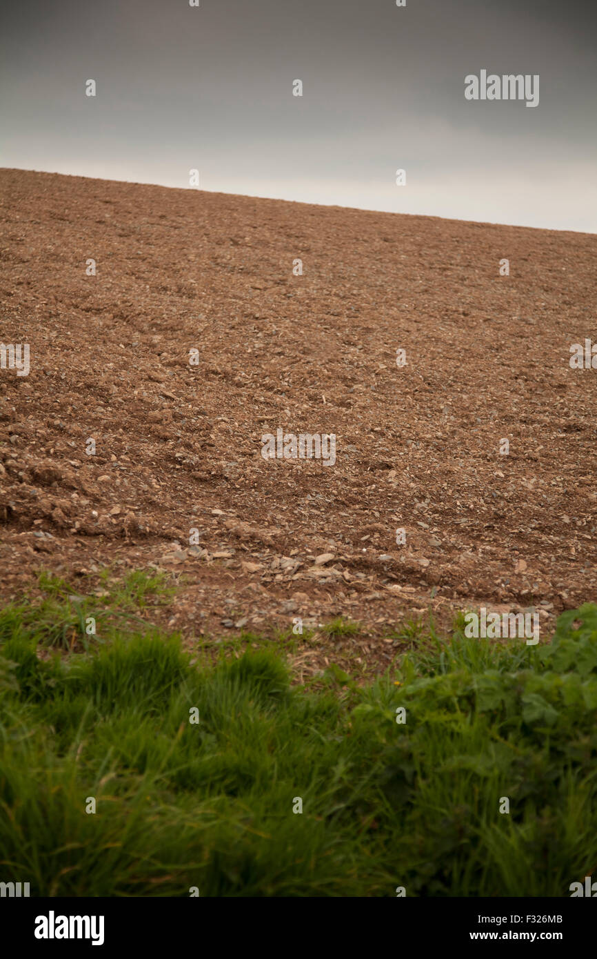 Campo arato Foto Stock