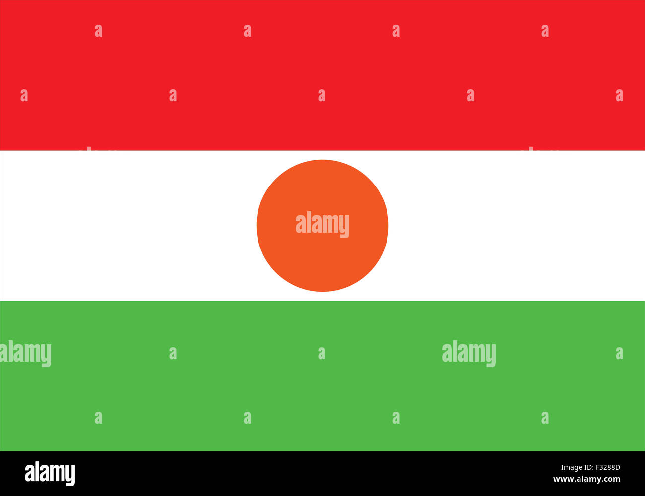 Originale e semplice Repubblica del Niger vettore di flag Foto Stock