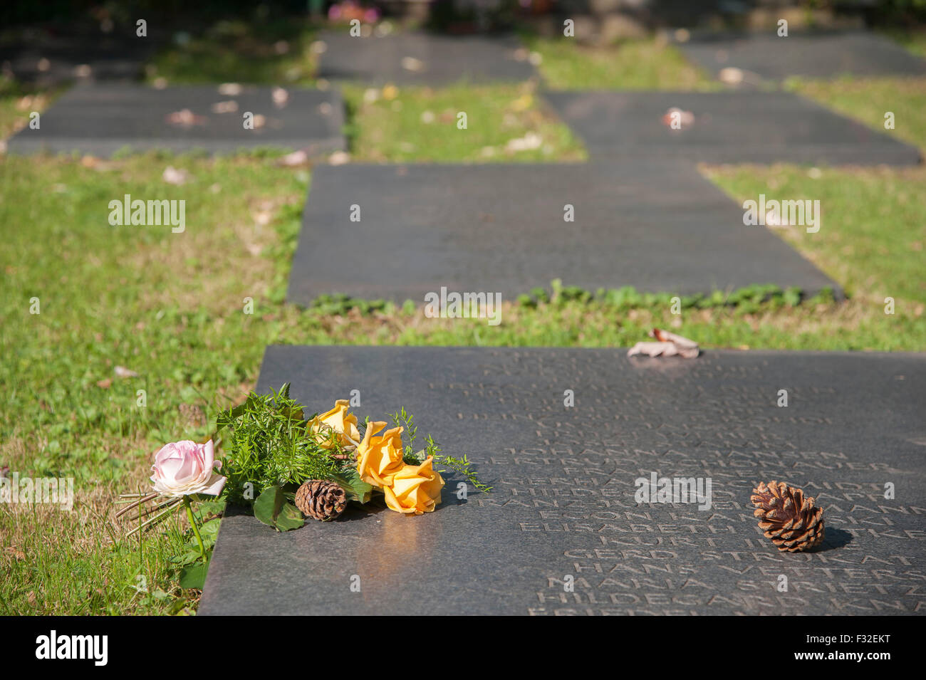 Tomba di pietra con i nomi dei morti, anonimo grave campo in erba nel cimitero di Dusseldorf-Heerdt, NRW, Germania Foto Stock