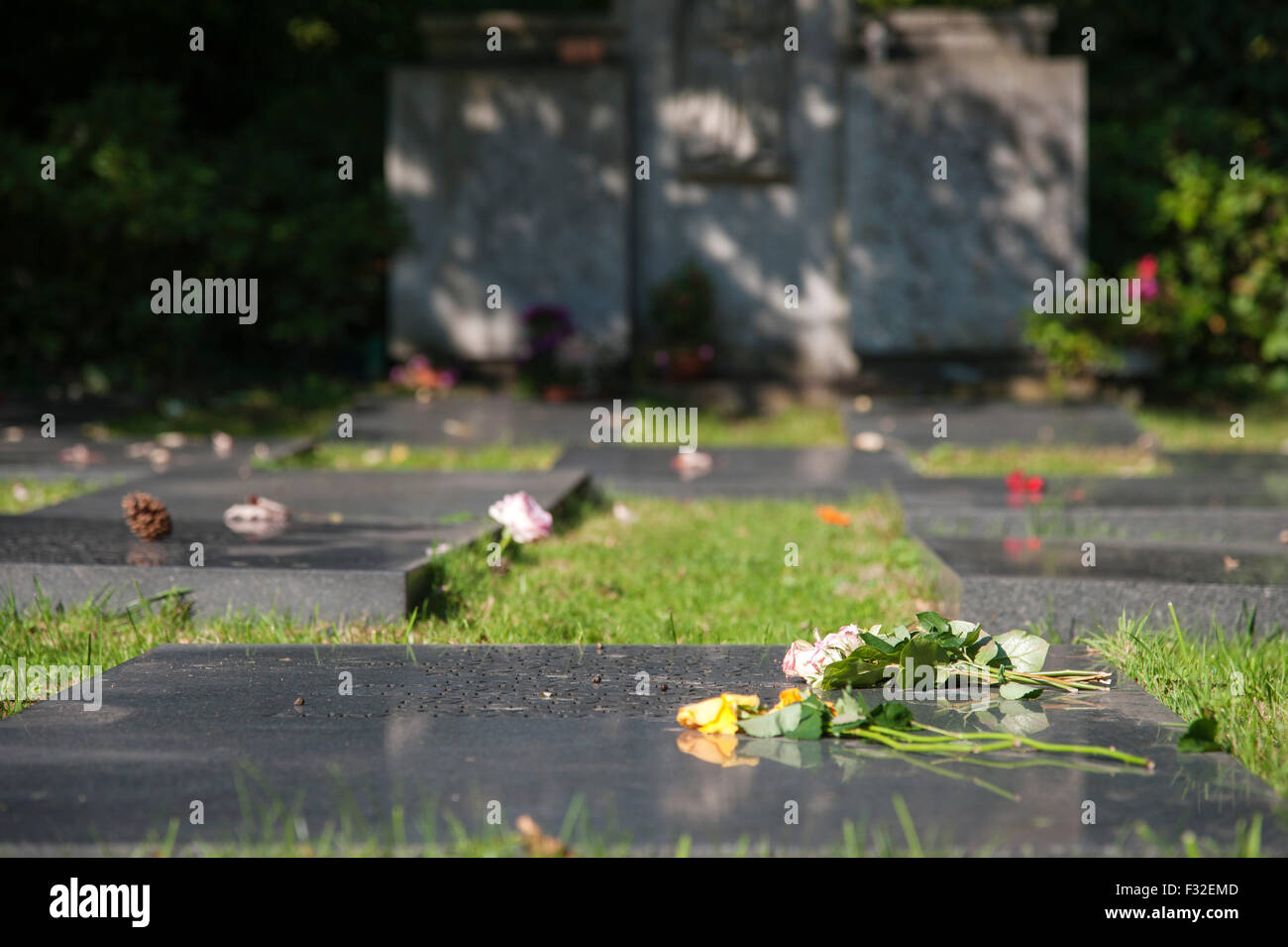 Tomba di pietra con i nomi dei morti, anonimo grave campo in erba nel cimitero di Dusseldorf-Heerdt, NRW, Germania Foto Stock