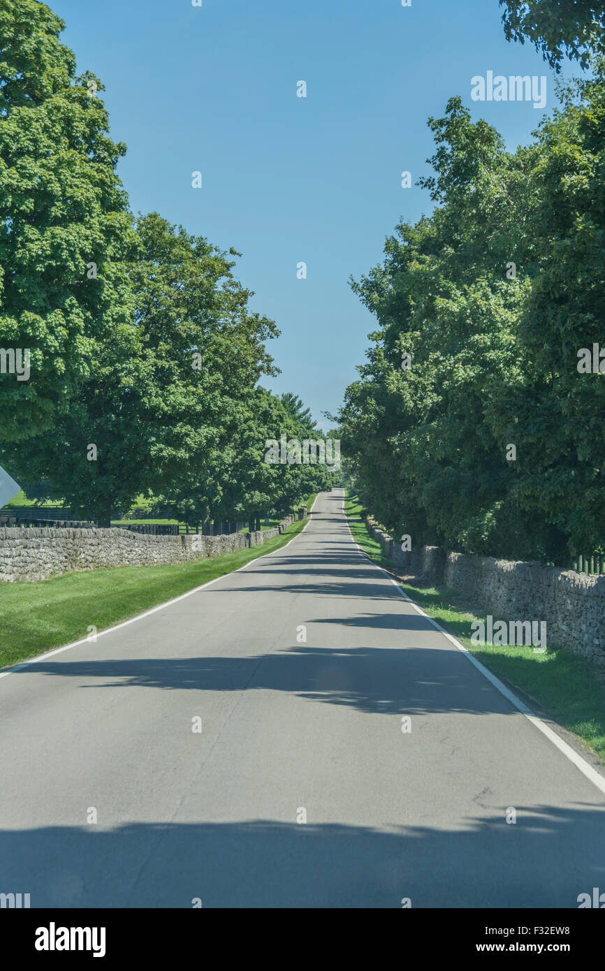 Panoramica strada delimitata da recinti di pietra in Lexington Kentucky negli Stati Uniti Foto Stock