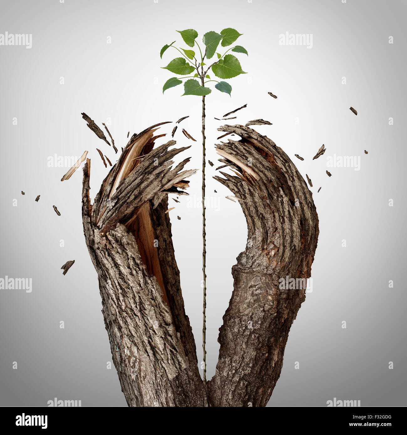 La rottura attraverso il concetto come un alberello verde crescente verso l'alto e distruggendo una barriera ad albero come un business di successo metafora per il potenziale di ambizione e di forte volontà di riuscire. Foto Stock