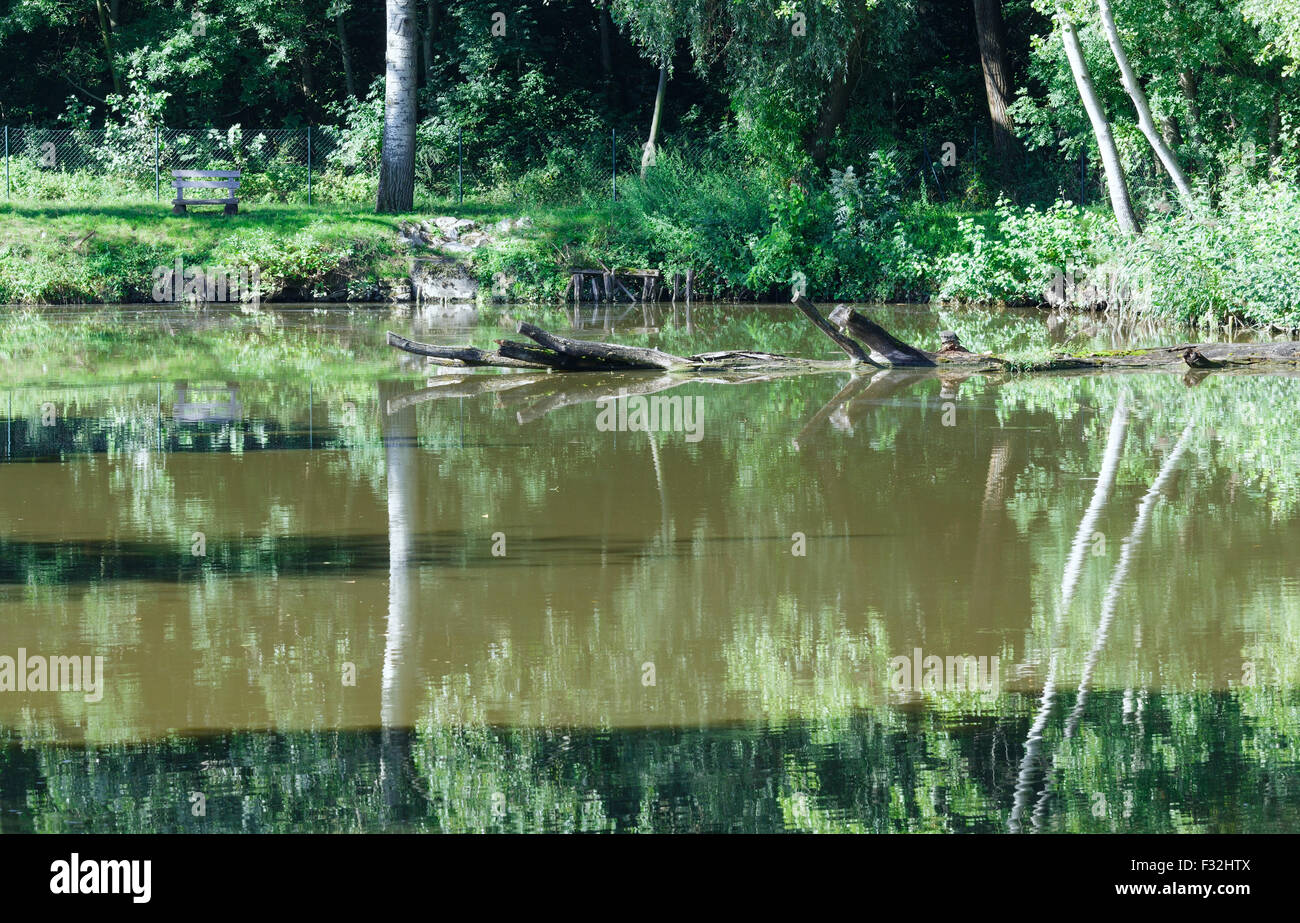 In estate il lago con alberi di riflessione sulla superficie dell'acqua. Foto Stock