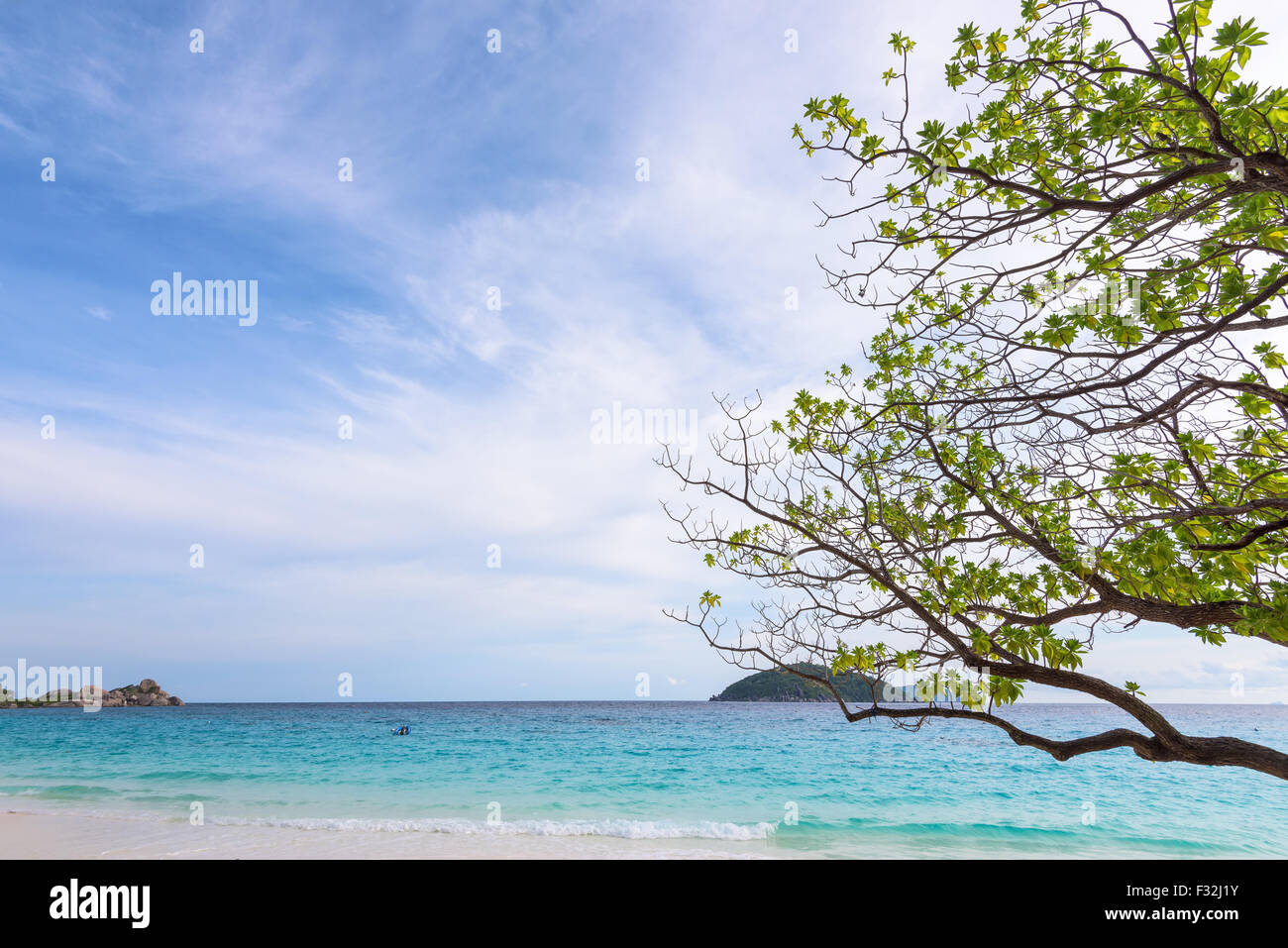Bellissimo paesaggio cielo e mare blu sotto un albero verde presso la spiaggia di Koh Miang è un isola di attrazioni famose per le immersioni in um Ko Foto Stock