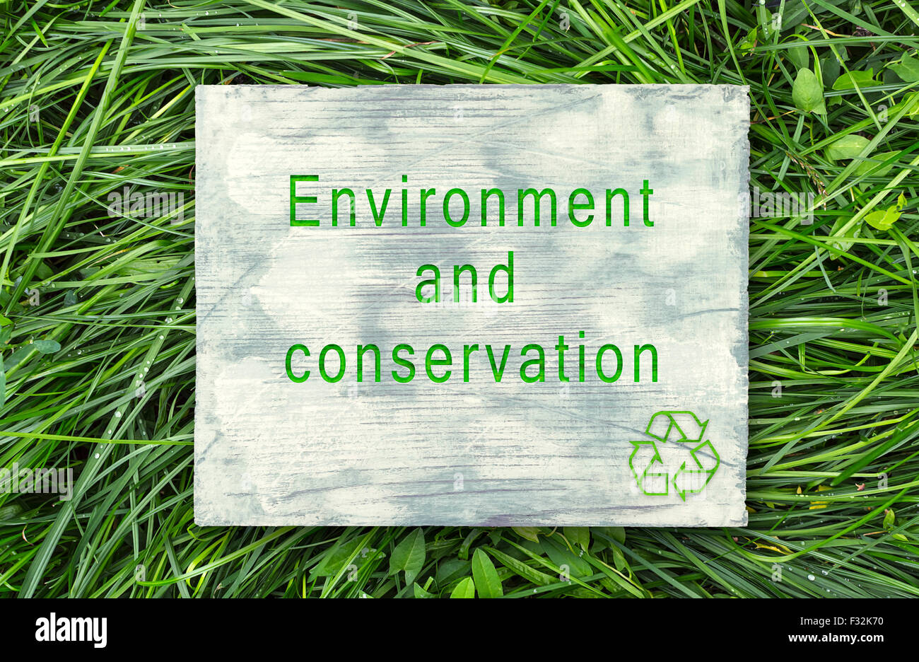 Messaggio circa la coscienza ecologica, Ambiente e conservazione. Foto Stock