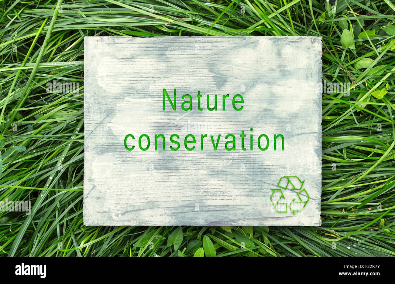 Messaggio circa la coscienza ecologica, la conservazione della natura. Foto Stock