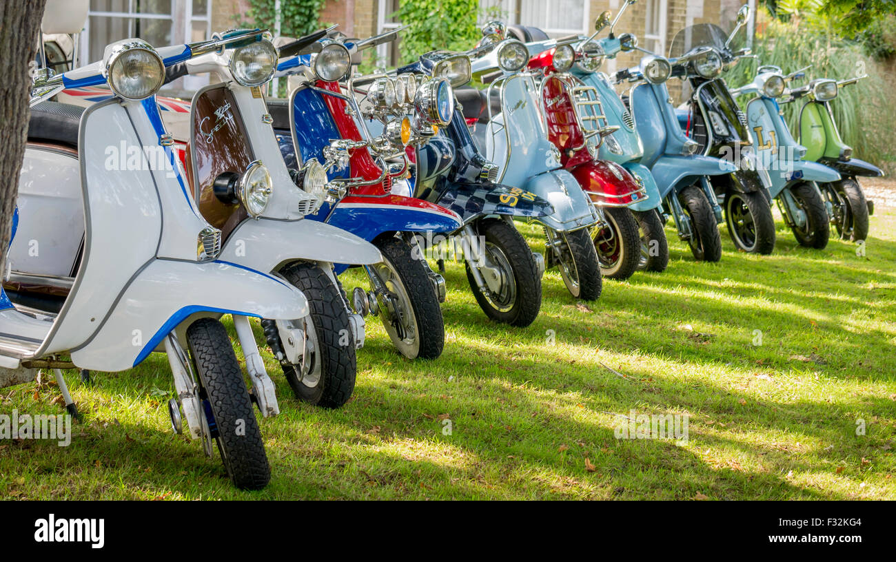 Collezione di Classic Lambretta e Vespa scooter Foto Stock